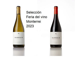 Selección Feria  del Vino  de Monterrei 2023